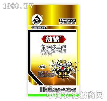 ����-��-��Ч�����׺��`25g