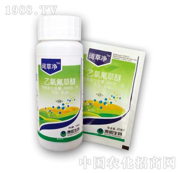 240��/������������-韲݃�-̩�(y��ng)