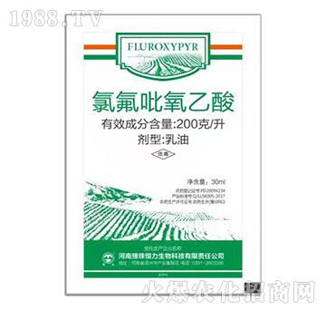 �ȷ���������-ԥ�����