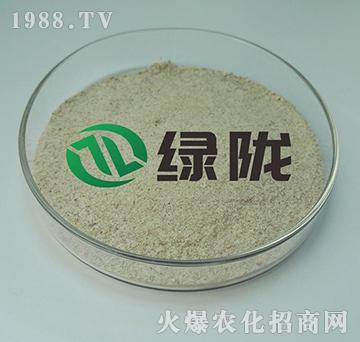 �ݲ�ѿ�ߗU������-200�|-�G�]����