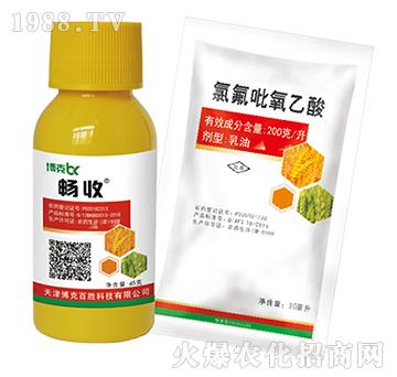 2�ס��p��+�ȷ���������-���˰ل�