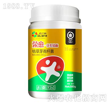 �ݲ�ѿ�ߗU��-�s��-ϲ�m��