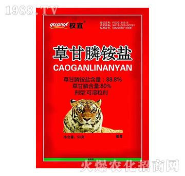 88.8%�ݸ���@�}-��(qu��n)��-�Z��