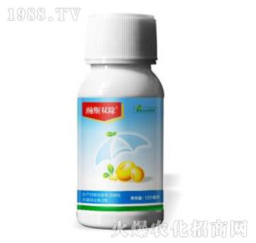 15%��ୡ����ǰ�-�˹�p��-�˹����