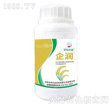 66%���׻�¡��2��4�Ȯ�����-��-���