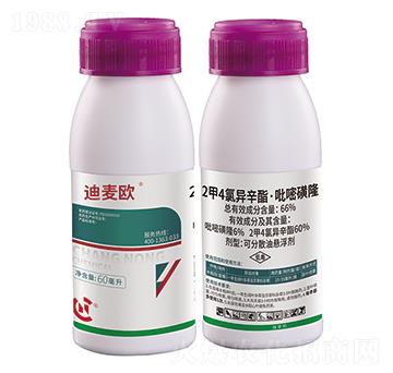 2��4�Ȯ����������׻�¡-�����W-���r����