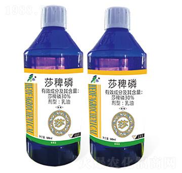 30%ɯ����-���ݡ�ɯ-����