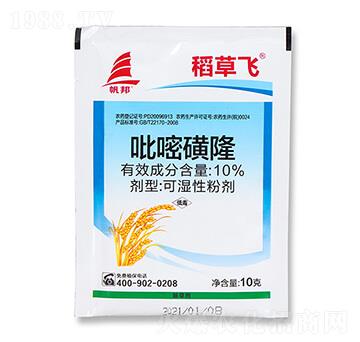 10%���׻�¡-�����w-ϲ�S��