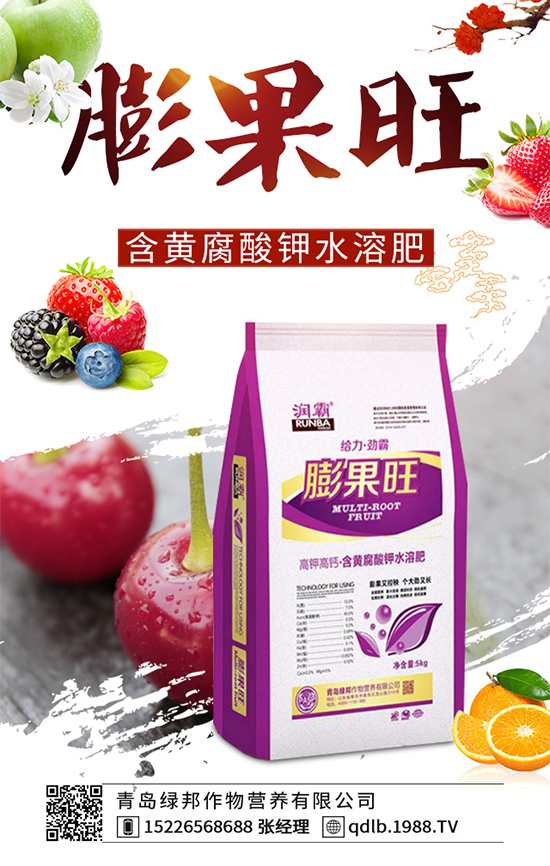 ���{(l��n)ܛ��������Щ�Y����F(xi��n)������ΰl(f��)���������{(l��n)ܛ�����A(y��)����ʩ