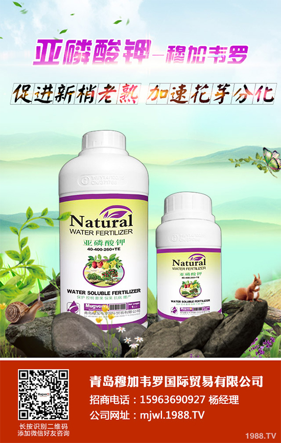 ���{(l��n)ܛ��������Щ�Y����F(xi��n)������ΰl(f��)���������{(l��n)ܛ�����A(y��)����ʩ