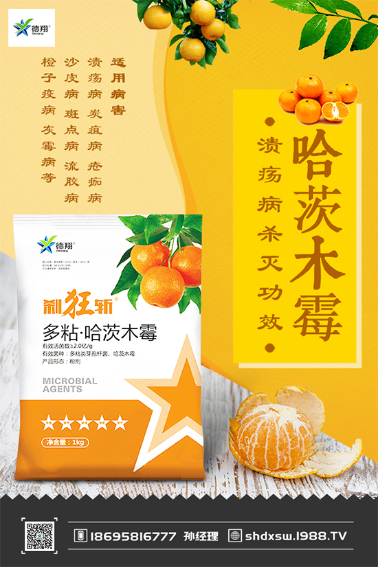 ���{(l��n)�ڰ߲�Σ���@ô�󣬵���ԓ��η����������������