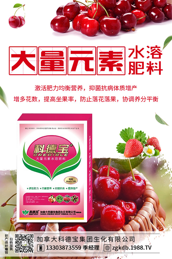 ������(ji��)�N��ᘹ����������������(ji��)��ᘹ�����������