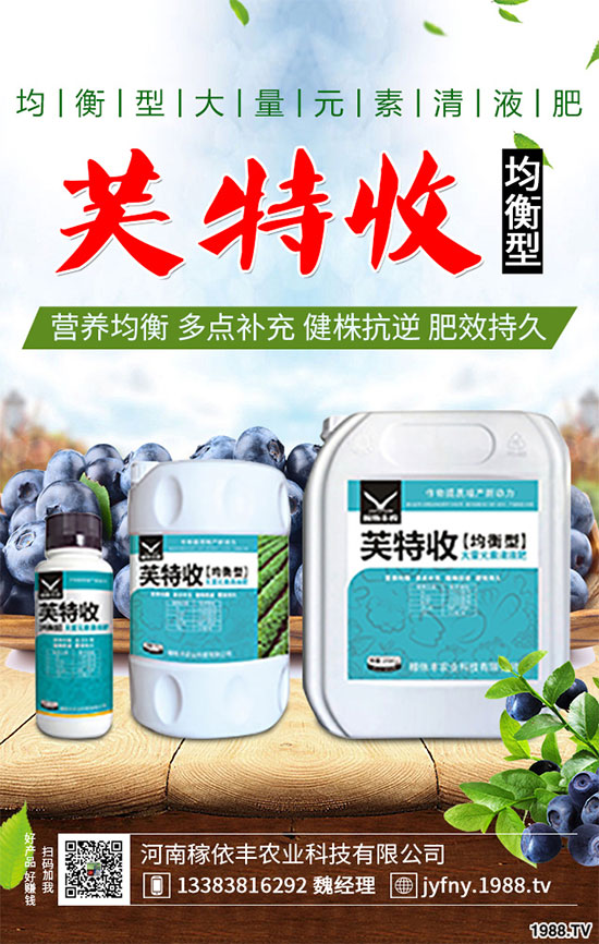 ��_(t��i)���ܷNֲ�Ϻ�������ԓע��ʲô����_(t��i)�ϷNֲ�Ϻ����ע�����(xi��ng)