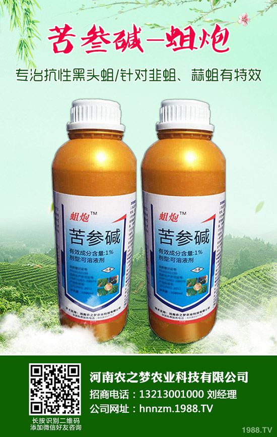 ��ĸ�ݵĹ�Ч�c���ã���ĸ�ݵ�ʹ�ý�����