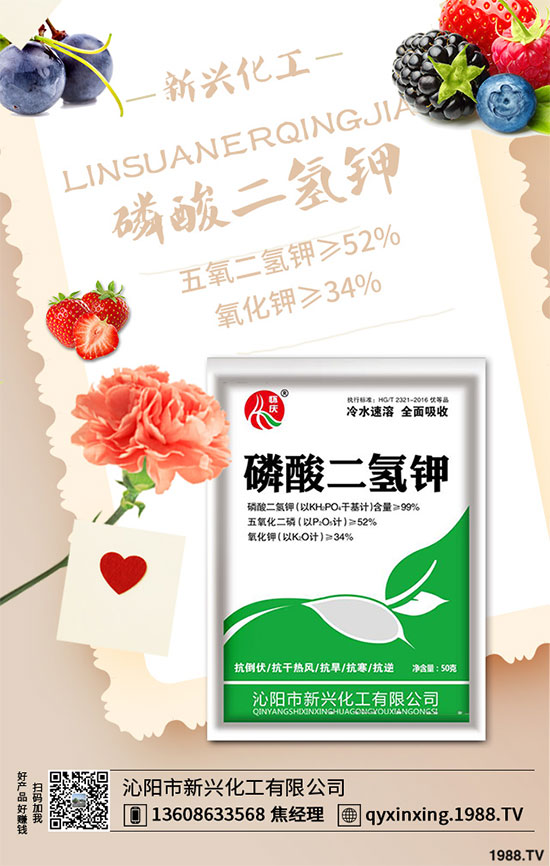 ���[�B��Σ����������ԓ��ν�Q�����[�B���ϵK���߮a(ch��n)�������g(sh��)��