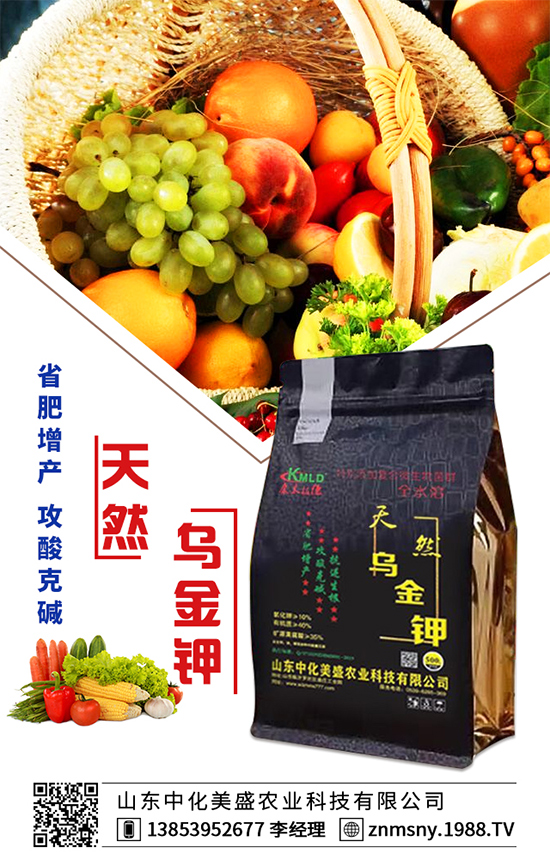 �۲˞�ʲô��(hu��)���F(xi��n)���ģ��۲˿��ĵķ��δ�ʩ��