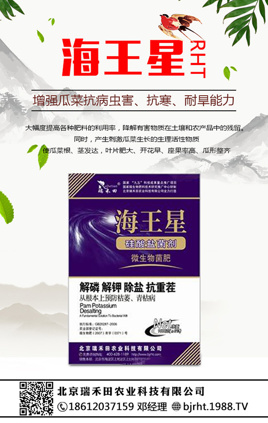 ���N�����B(y��ng)�������N���B(y��ng)ֳ������ע�����(xi��ng)��