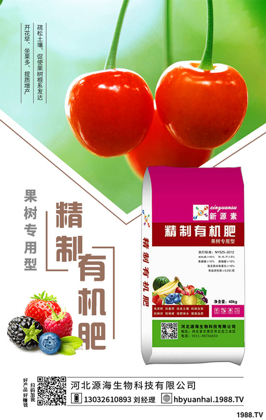 2020���㹽�Nֲǰ�������2020���㹽�Nֲٍ�X����