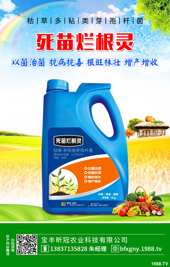 ��ô�Nֲ�_�h�����_�h���Nֲ������B��