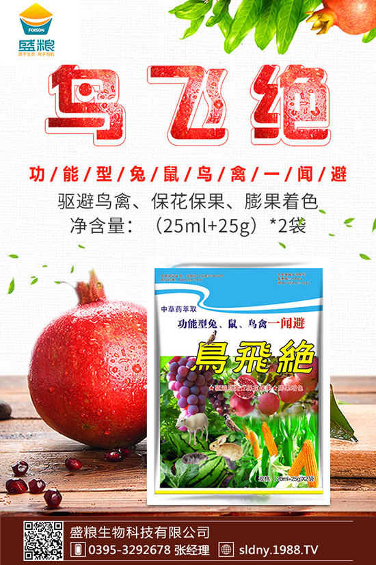 �������t������ڷ����������t���ڷ۷�������Щ��