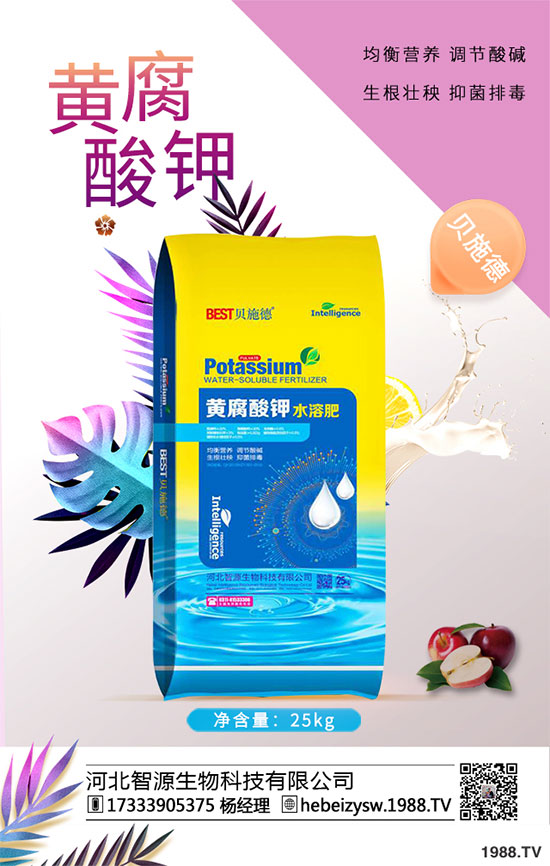 ����ը���ӷNֲ�����¹����༼�g��