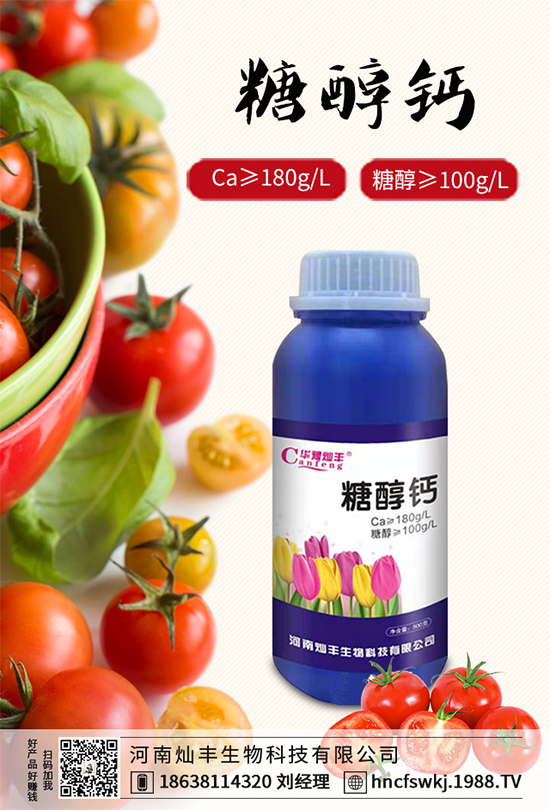 ���{(l��n)���ݲ���(l��i)�u������ԓ��η��������{(l��n)���ݲ����δ�ʩ