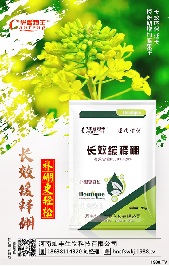 ���{(l��n)���ݲ���(l��i)�u������ԓ��η��������{(l��n)���ݲ����δ�ʩ