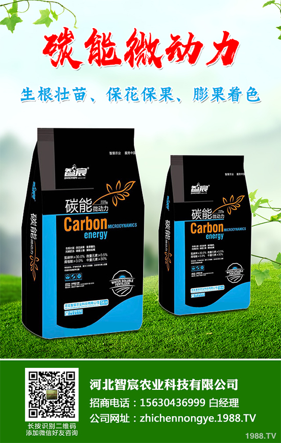 ���������߲˷Nֲԓע��ʲô����ӛ�e�M(j��n)�@�����`�^(q��)