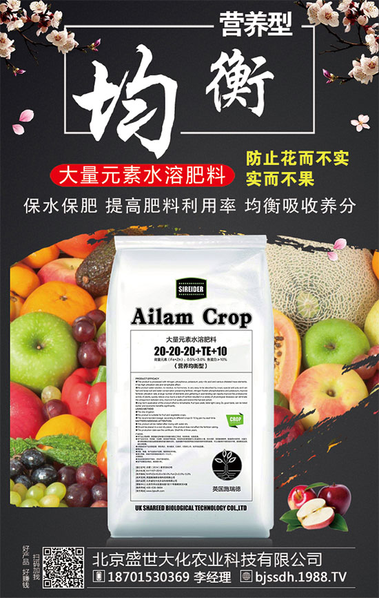 ���ӵĠI(y��ng)�B(y��ng)��Σ��t���ֵĹ�Ч�c������