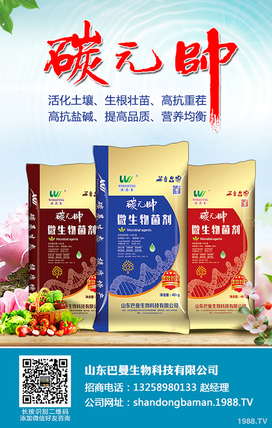     2019-11-15�����܈�(b��o)���r(ji��)����m(x��)�»��������������������