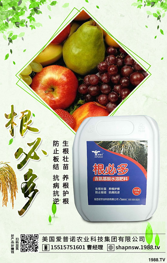 ������ô�������ܸ߮a�����Ӹ߮a�ߴ������ʩ