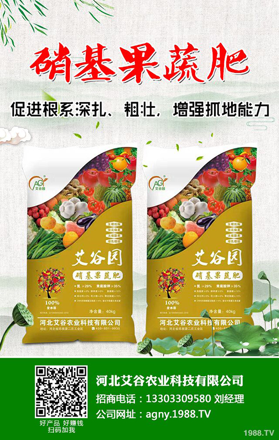 ⛷ʃr���µ�һ����2019-11-16���ո��؅^(q��)⛷��������S��r��