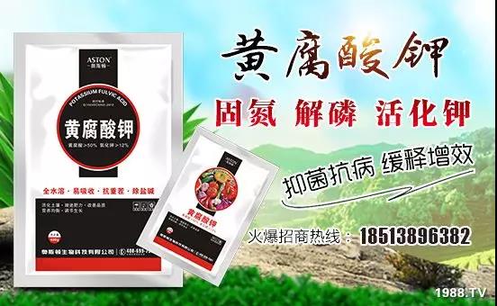 �VԴ�S����⛡�����Ʒ����1����=8���ЙC(j��)�����½�Դ�^ֱ�l(f��)������