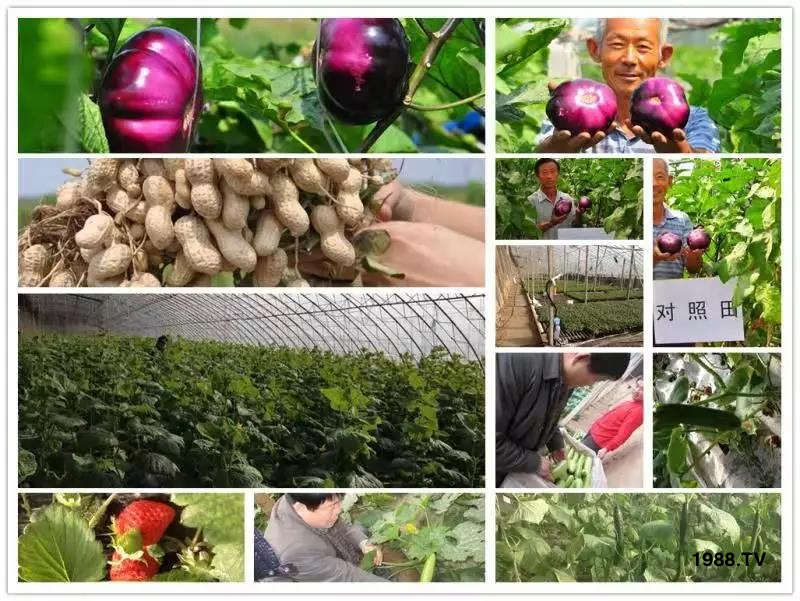 �VԴ�S����⛡�����Ʒ����1����=8���ЙC(j��)�����½�Դ�^ֱ�l(f��)������