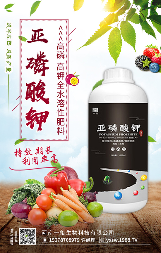 ���Ҙ��ʲô���Y(ji��)�������Ҙ䲻�Y(ji��)����(sh��)�ĵĽ�Q������