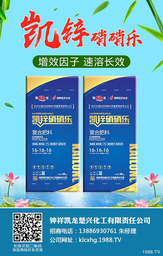 ʲô���ЙC(j��)��ײˣ��ЙC(j��)��ײ˷NֲҪ�c(di��n)����Щ��