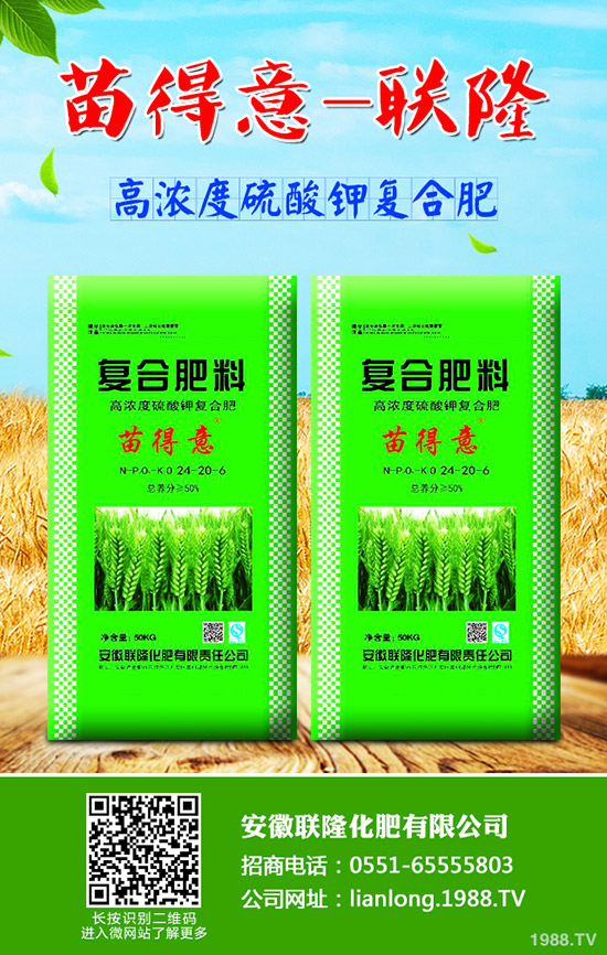 ��ţ��?q��)����w��ʲô��̎��ţ��ĠI�B(y��ng)�r(ji��)ֵ����Ч!