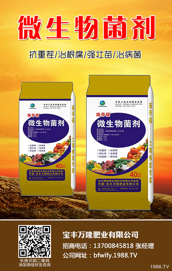 ���m���Nֲ��������Щ�����m���Nֲע����헣�