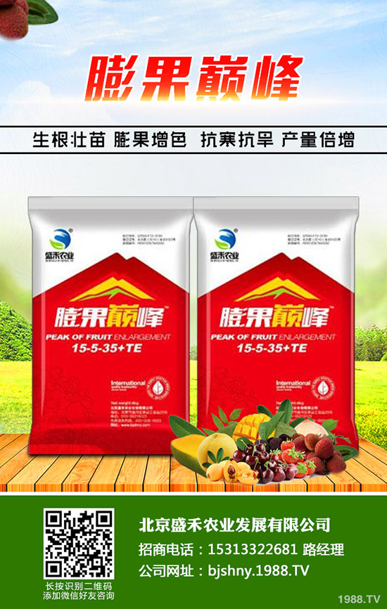 �������﷬�ѿ��Ĺ���ʲôԭ�������ӱ��ⷬ�ѿ��Ĺ��l(f��)����