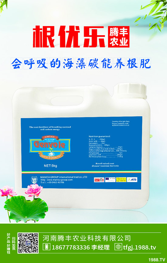 ʯ��ְ߲���(d��o)�°l(f��)�S���~��ô�k��ʯ��ְ߲��ķ���Ҫ�c(di��n)��