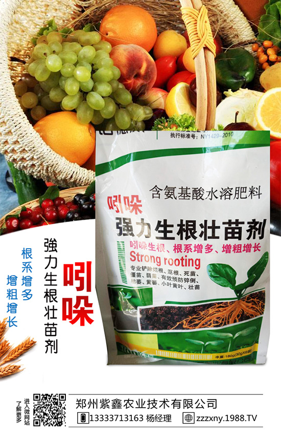 ��֥��Nֲ�r�g��ʲô�r��᣿��֥��Nֲ�������g(sh��)��