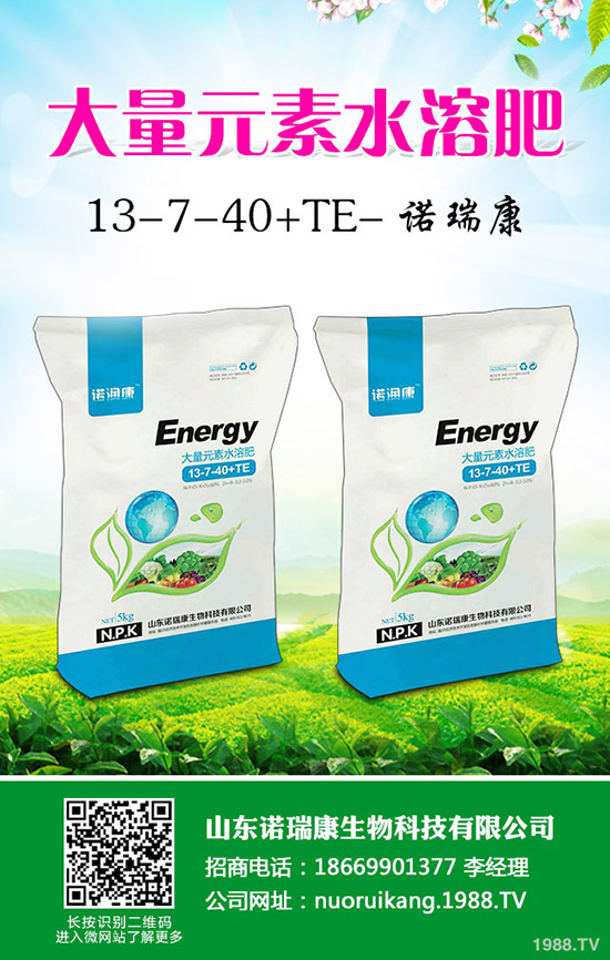 2020�����r��������ô����ٍ�X�����Nֲ��e������ô��