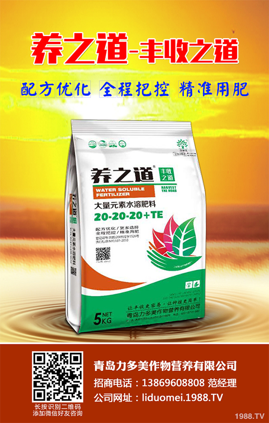 ��Ƥ�ɼٻ���զ��������Ƥ�ɼٻ��Q��ʩ