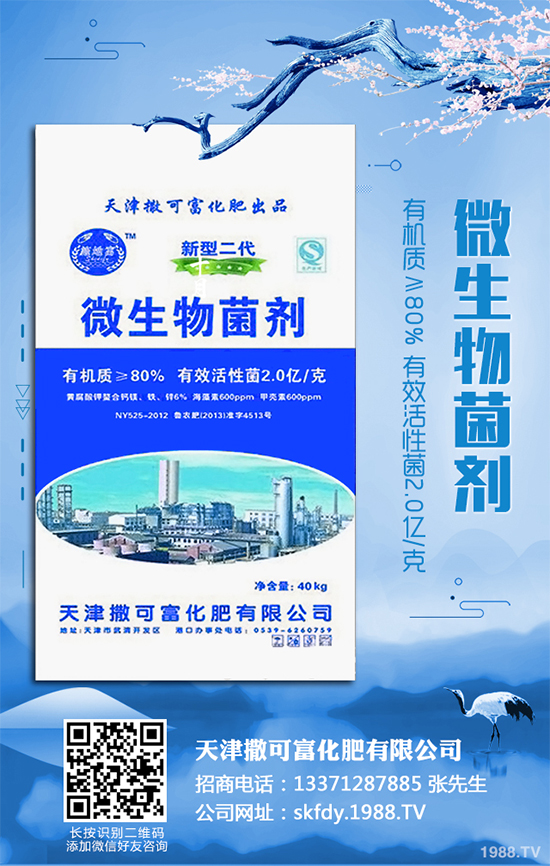 ��Ƥ�����Ժ���S��զ������ԓ��ô��Q�����������