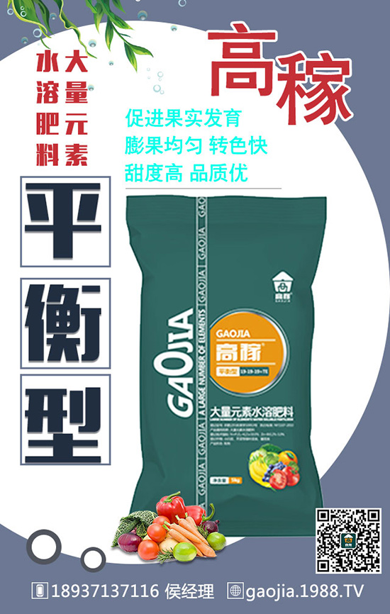 ͬ�ӵĻ�����ͬ�ӵİ��b����ͬ�ăr����ԭ�򾿾������