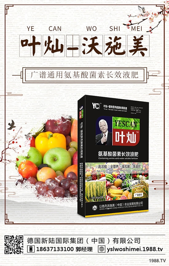 �������༾��(ji��)��ʲô�r(sh��)�������˸߮a(ch��n)���g(sh��)����Щ��