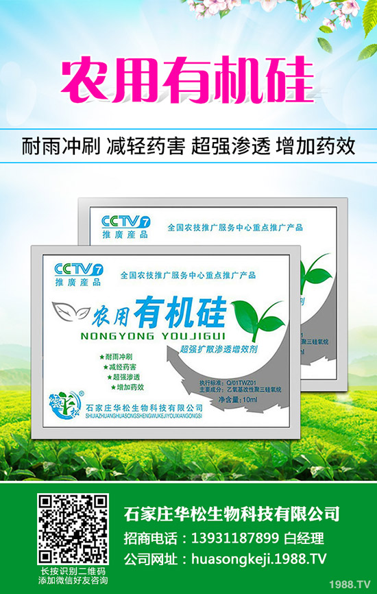 �ʲݵķNֲ��������Щ���ʲݷNֲ��Ҫʲô�ӭh(hu��n)����