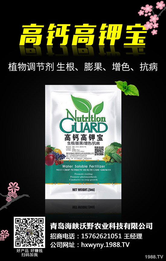 油葵種植前需要準(zhǔn)備哪些工作，油葵種植技巧有哪些？