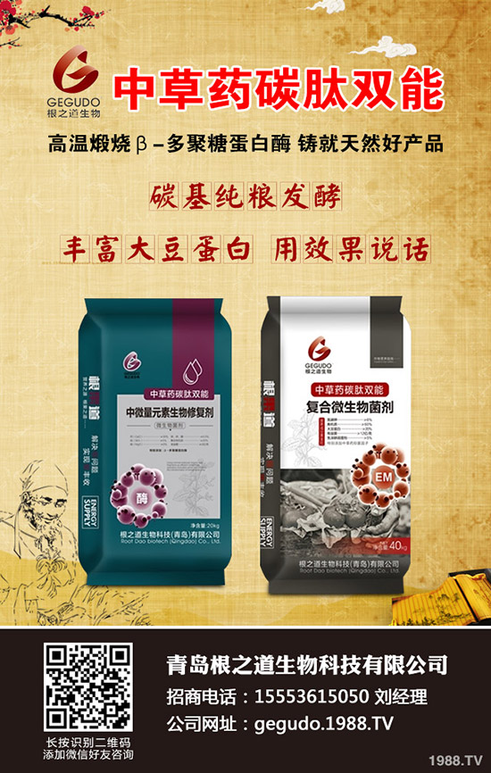 �������N����ĕ�(hu��)�����������N�r(sh��)�g��������