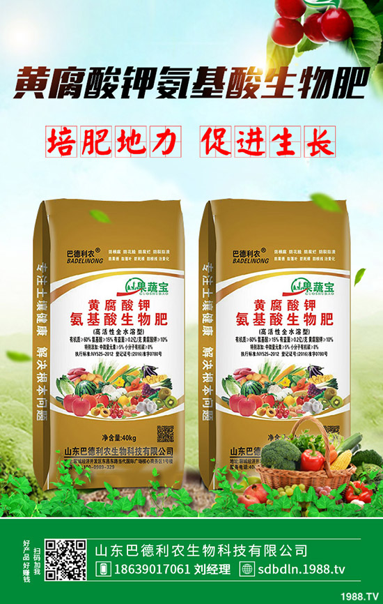     ��(f��)�Ϸ������嵭��2019��11��9�ս���������I(y��)���S��(b��o)�r(ji��)һ�[��